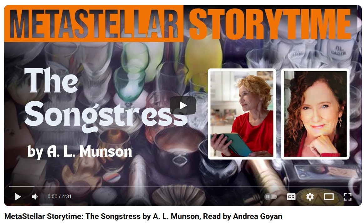 MetaStellar Storytime image from YouTube
