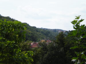 View of verdant hills